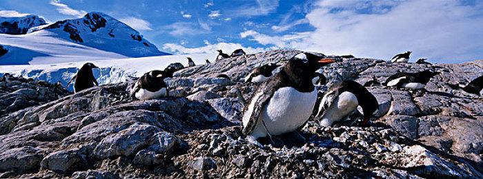 《四海兄弟：故乡》新玩法预告片发布日期确认
