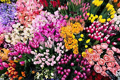 《命运2》开发商Bungie也遭SIE裁员