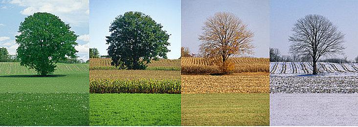 《杀戮空间3》预载现已开启 明日即将上线！